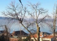 Forstbetrieb Ott